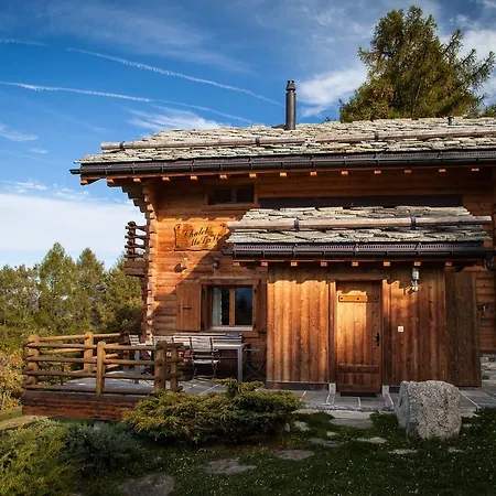Chalet Molavi * Nendaz